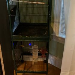 Bird Cage 