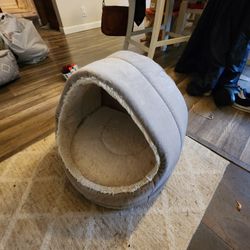 Cat Or Small Dog Cave 