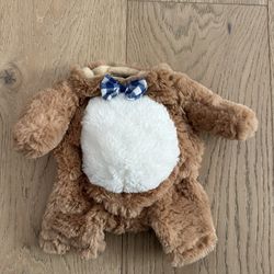 Cute Teddy Bear Dog Costume