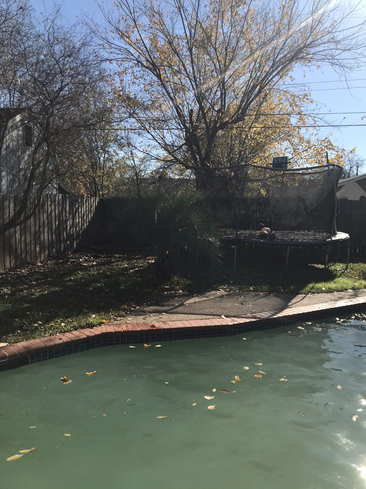 Limpieza De albercas