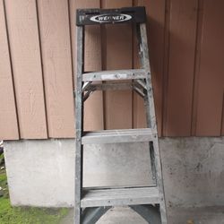 Werner Step Ladder