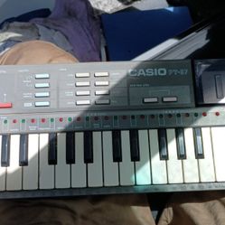 Vintage 80s Casio PT-87 Teaching Keyboard 