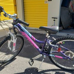 Girls 24 Inch Rim Schwinn Ranger Mountain Bike 