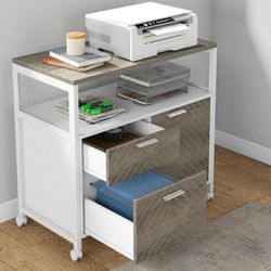 Modern File Cabinet with Drawers for Letter-Sized File and Door, Lockable lateral Filing Cabinet Printer Stand with Storage Shelves and with Rolling C