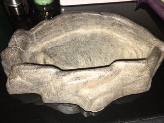 Reptile water bowl