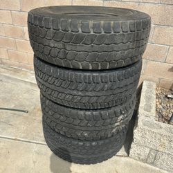 Bfg Projects 