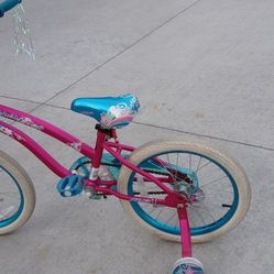 20 Inch Kids Bike