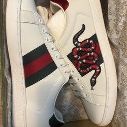 Gucci Ace Snake Eu 43