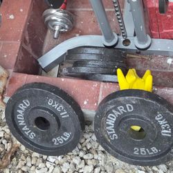 2 Inch Olympic Weight Plates 50lb (25lb X2)