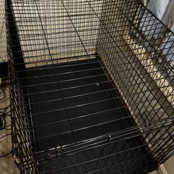 48in Crate
