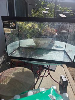 10gal fish tank
