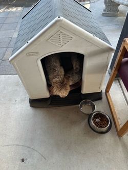 Esta casita para su mascota