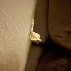 Brown Couch