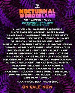 Nocturnal wonderland 2019 2 day wristband Saturday and Sunday