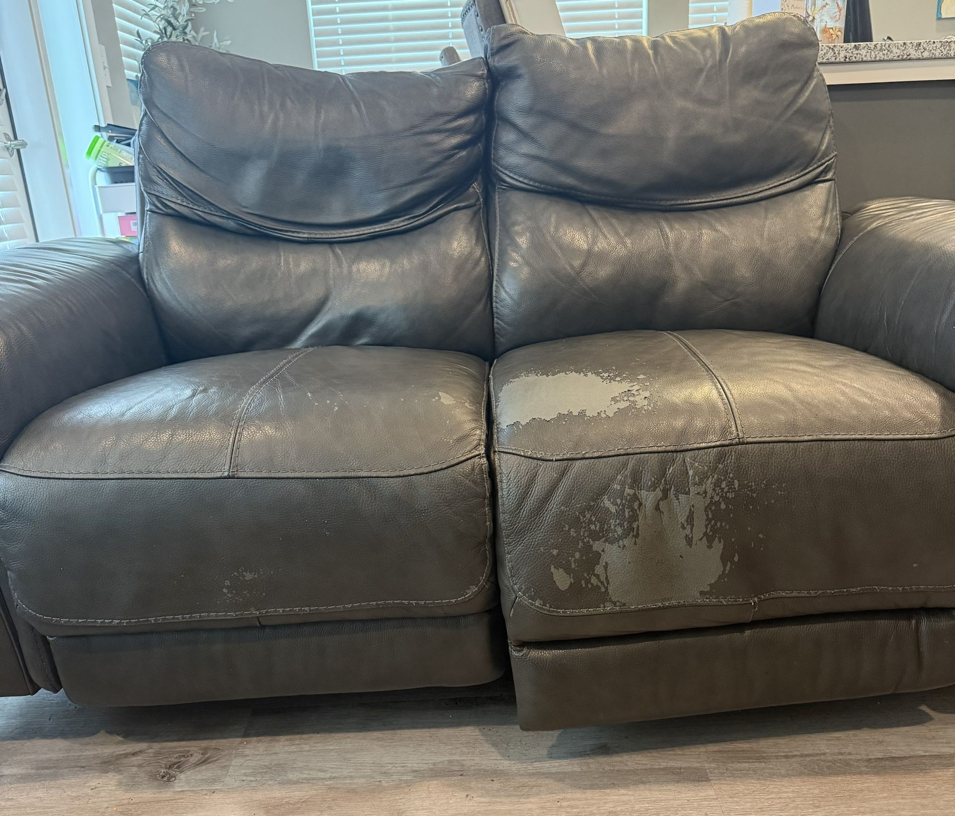 Free Power Recliner Loveseat