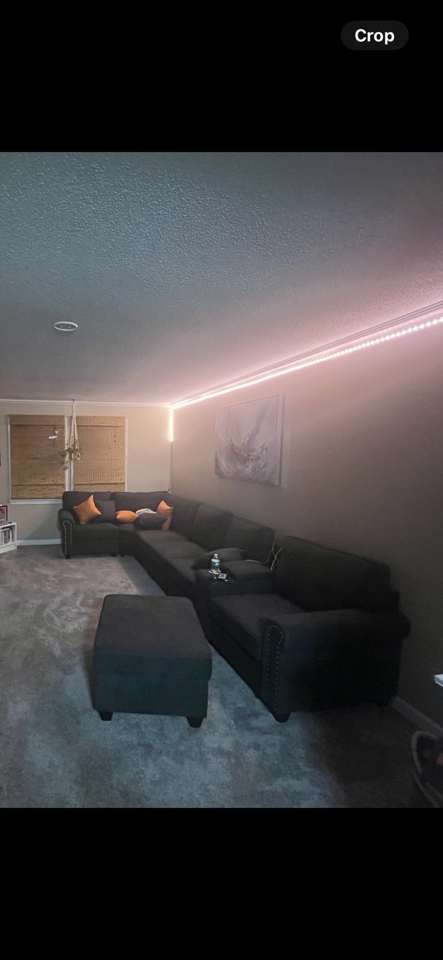 Large Sectional Couch