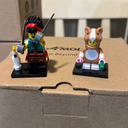 Two Lego Mini Figures