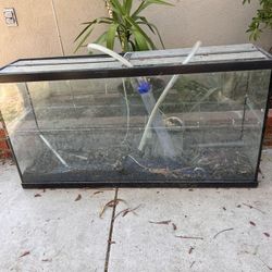 75-gallon Fish-tank