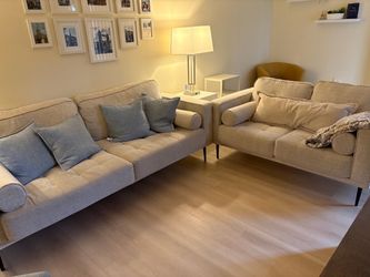 Family Sofa and Love Seat