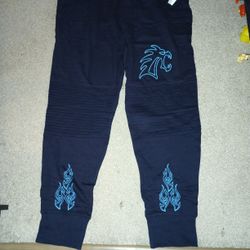 Disney Parks Men's Hades Jogger Pants Size XL