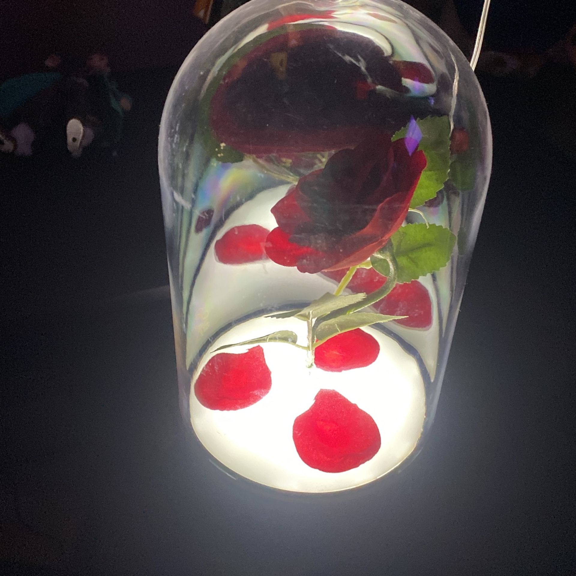Beauty And The Beast Rose Light