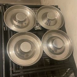 multiple Puppy Feeder