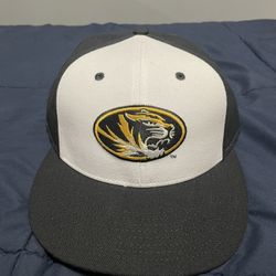 Tigers Hat
