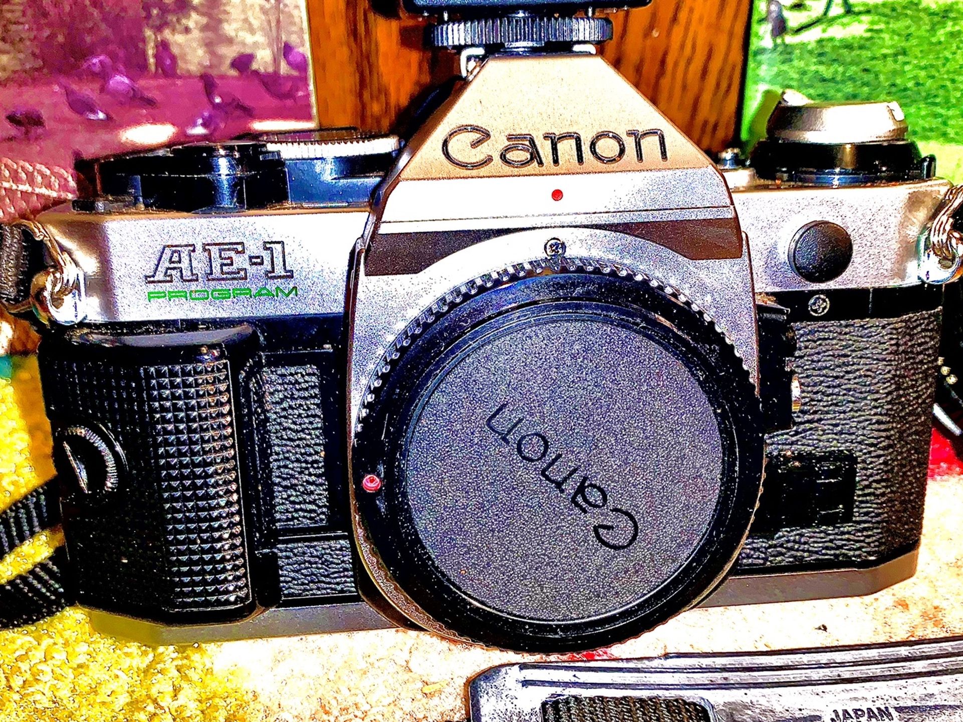 Canon AE-1 Program Camera ⭐️Make Offer⭐️