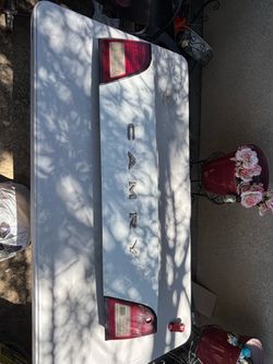 Camry tail lights