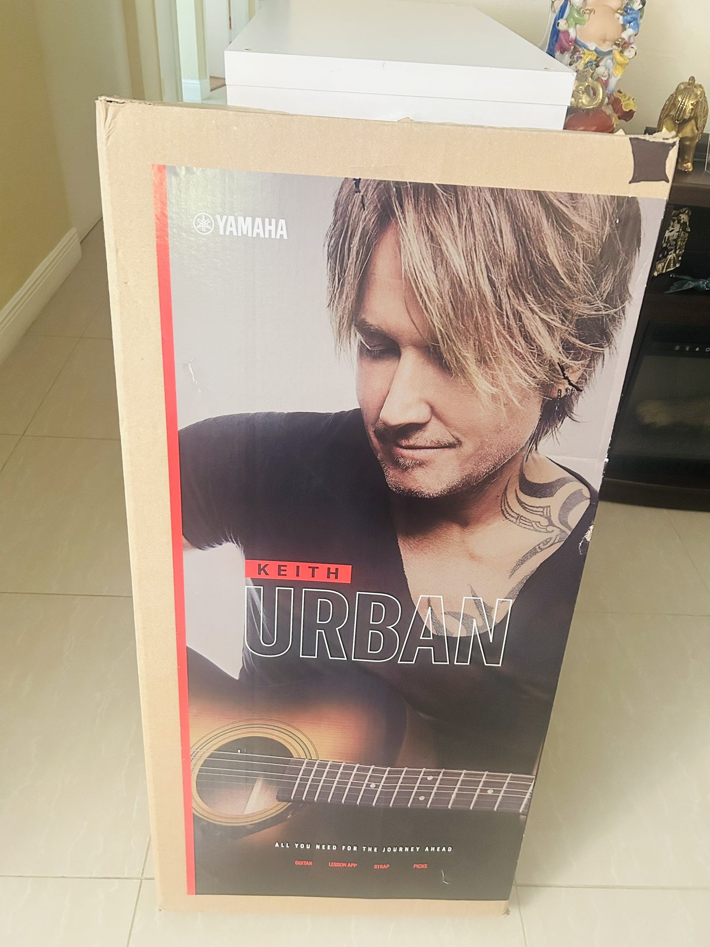 Keith Urban guitar (Yamaha)