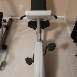 Inclined Bike 100.00