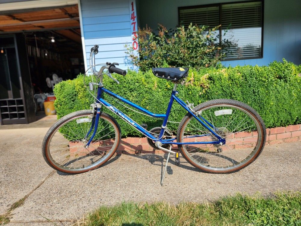 Schwinn Bike