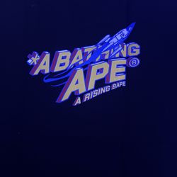 Bathing Ape Black And Blue T Shirt 