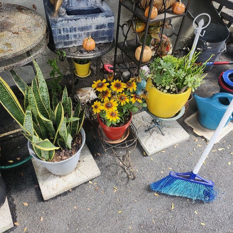 Plants Pots Plant Stands For Sale All Weekend