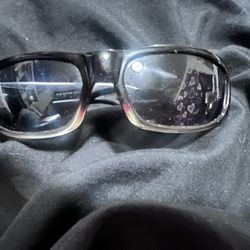 Black Fly Sunglasses 