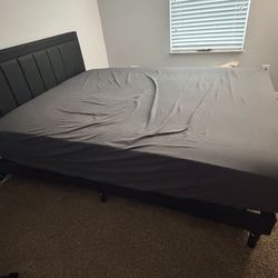 Queen LED bed frame w/mattress