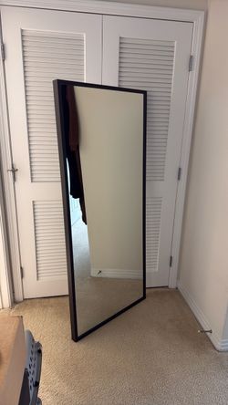 Large Full-Length Floor Mirror Dark Frame