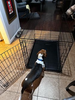 30x30x42 Dog Crate