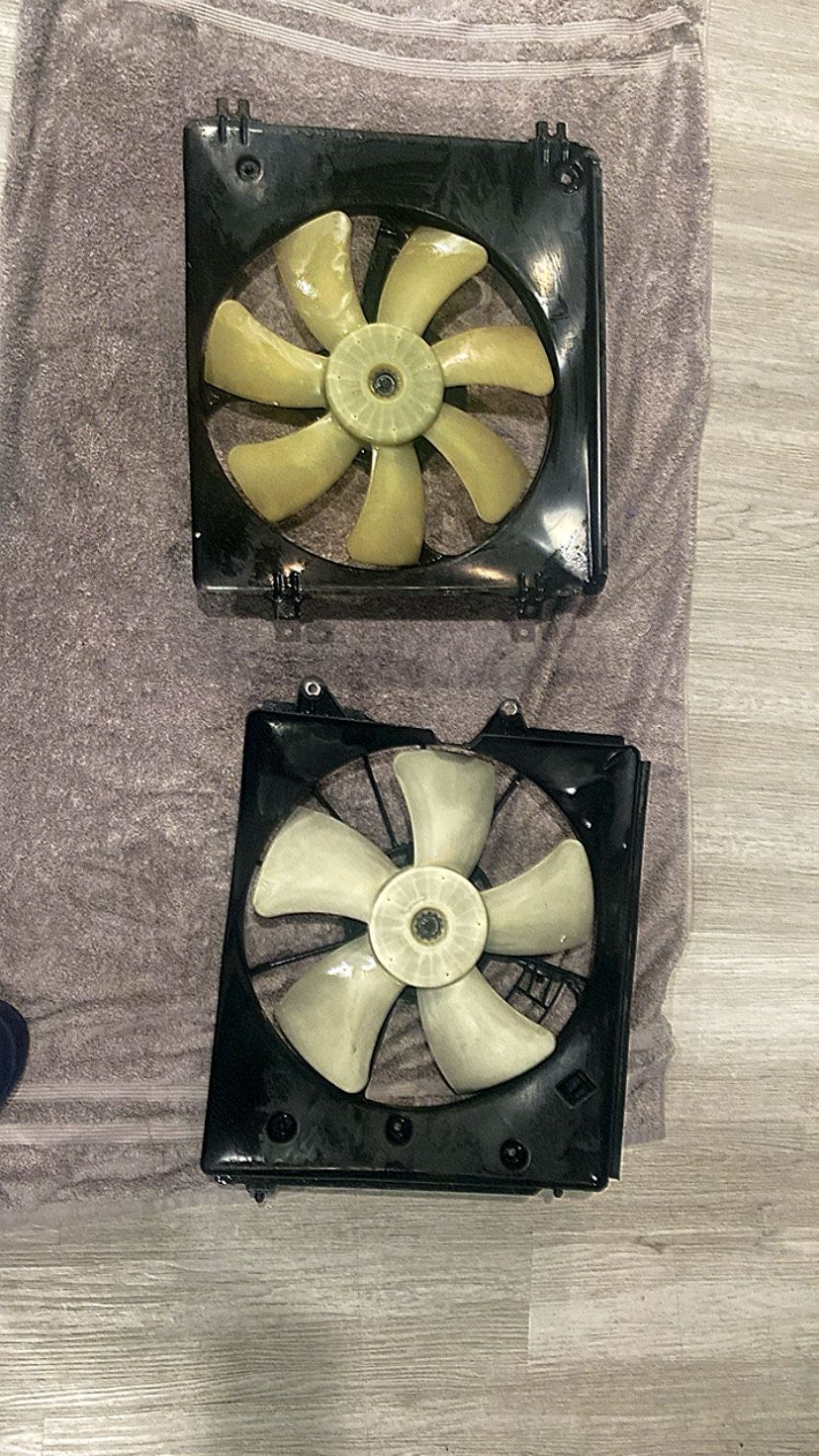Acura Tl 2010 Fans