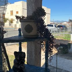 Succulents Of All Sizes In Unique Pots