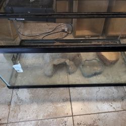Reptile Tank 