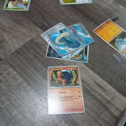 Pokemon Cards 