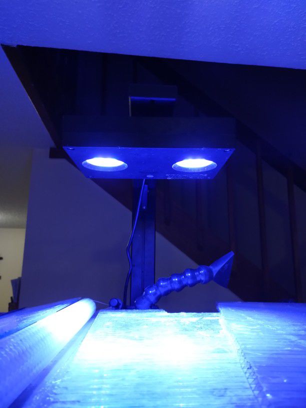 AI Hydra Aquarium Lights 