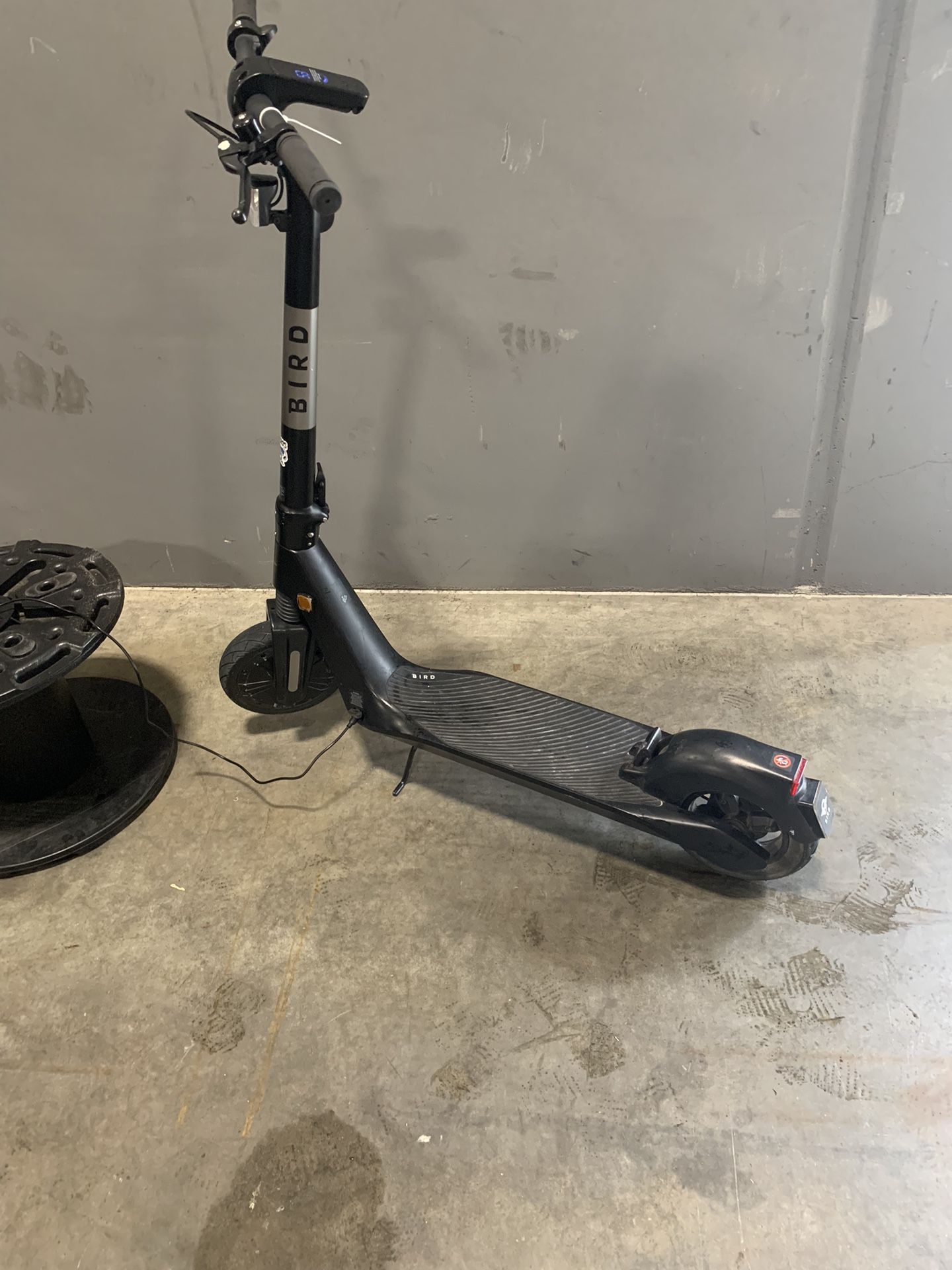 Bird Electric Flex Scooter