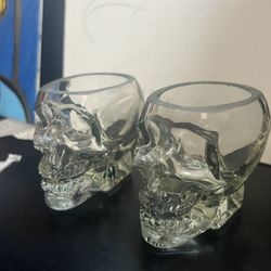 Skull Glass Shot Glasses