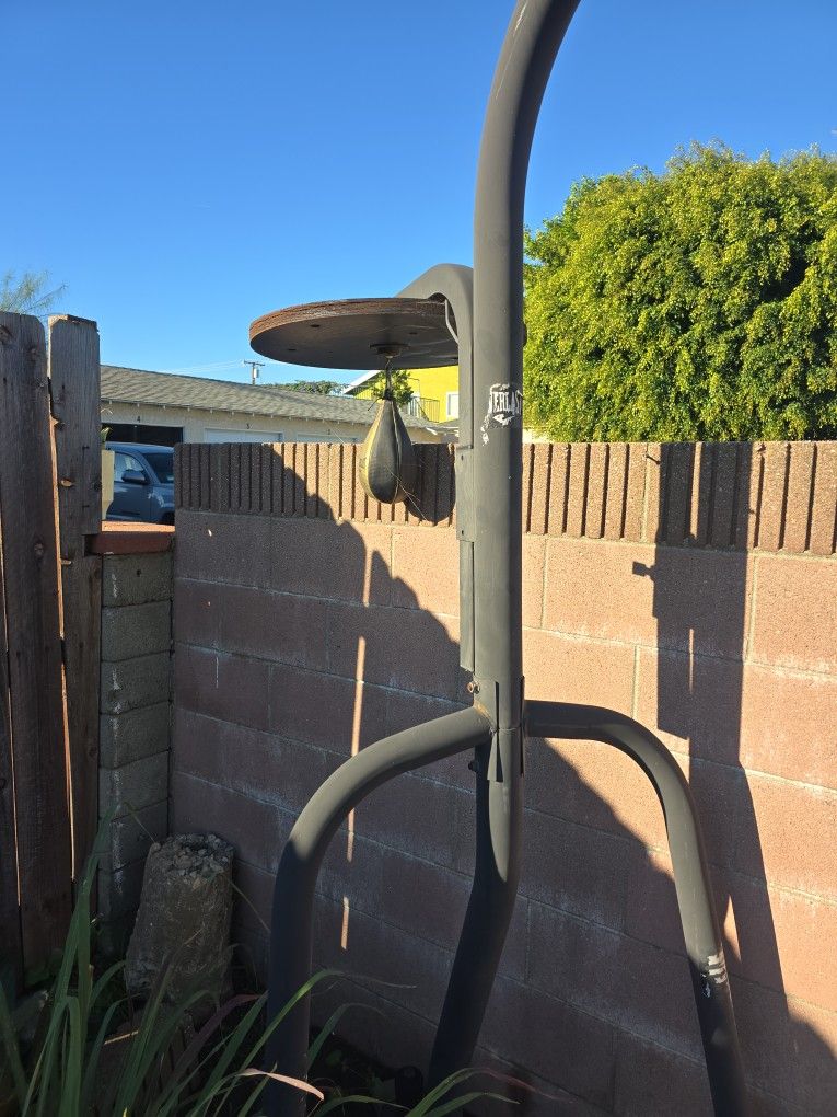 Punching Bag