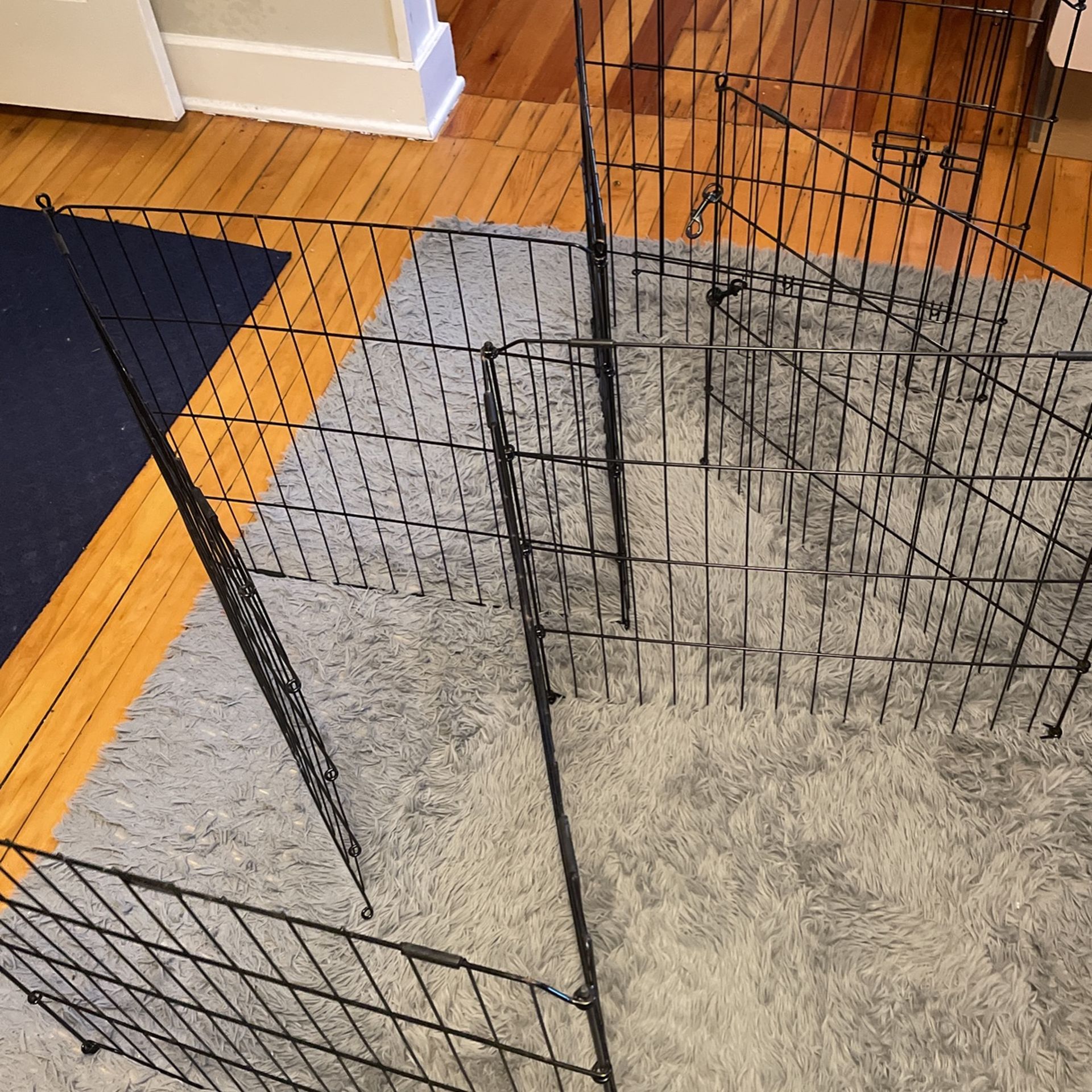 Puppy Play Area