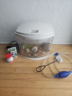 5 gallon white aquarium