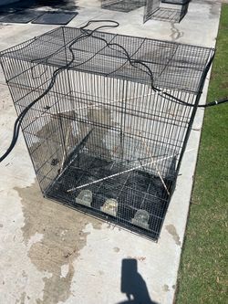 Large bird cage jaula grande