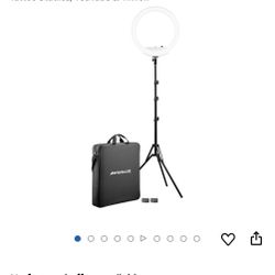 Westcott Lighting